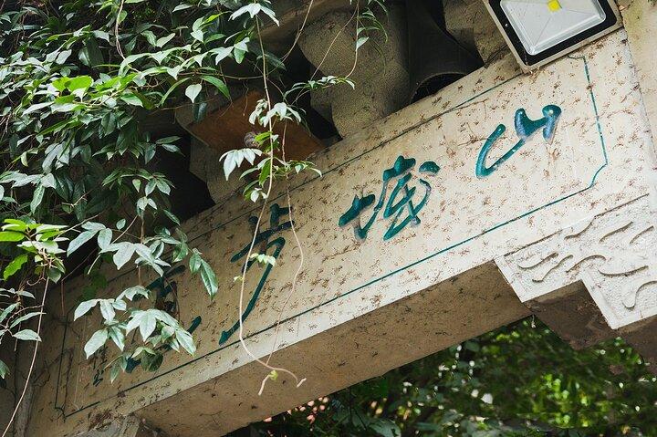 Chongqing 10 Hour Private Customized City Car Tour