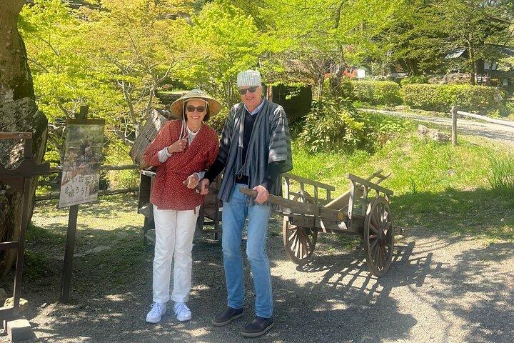 Customizable Takayama Private Walking Tour