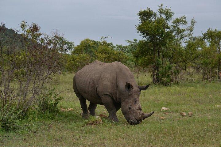 5 Day Group Camping Safari in Tanzania's Wildlife Parks