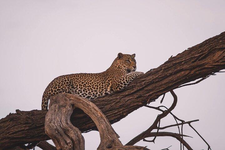 5 Day Group Camping Safari in Tanzania's Wildlife Parks