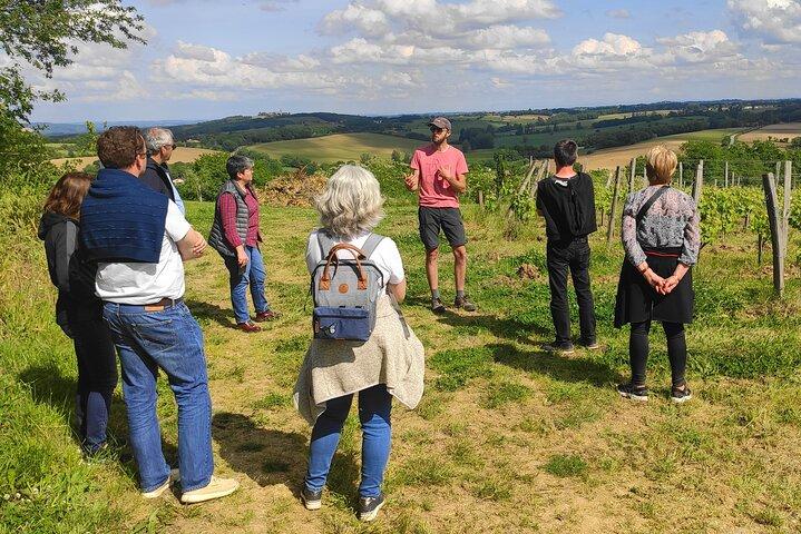 Fronton Small Group Wine Tour from Toulouse