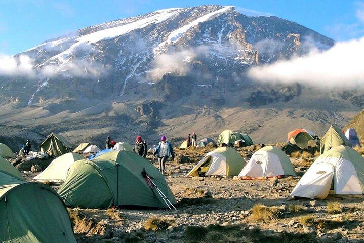 8 Day Lemosho Route Kilimanjaro Climb with Expert Guides
