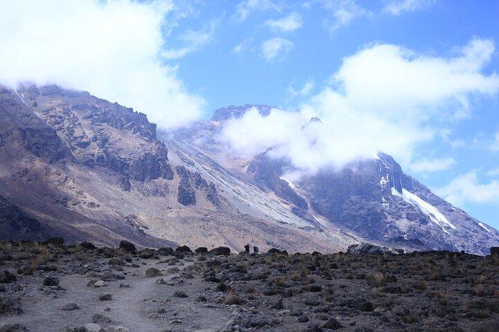 8 Day Lemosho Route Kilimanjaro Climb with Expert Guides
