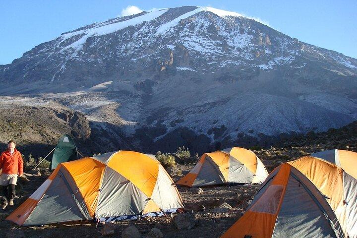 8 Day Lemosho Route Kilimanjaro Climb with Expert Guides