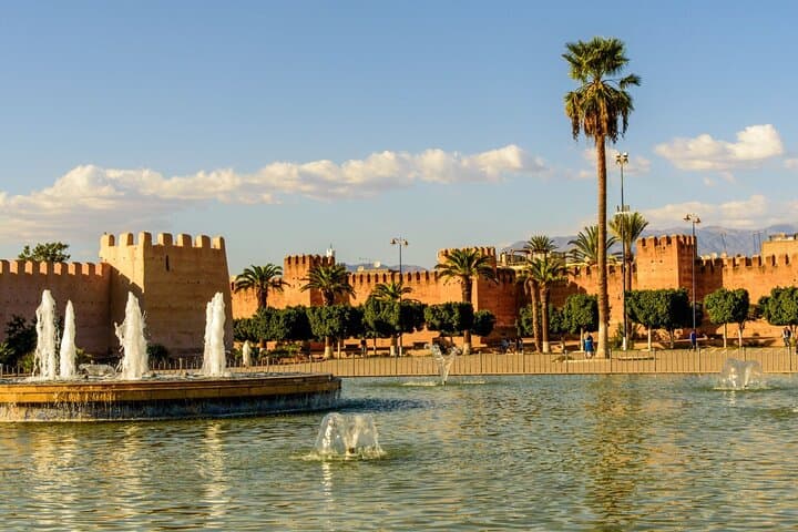 Taroudant Half-Day excursion : Medina+ Souk & Goats in argan Tree