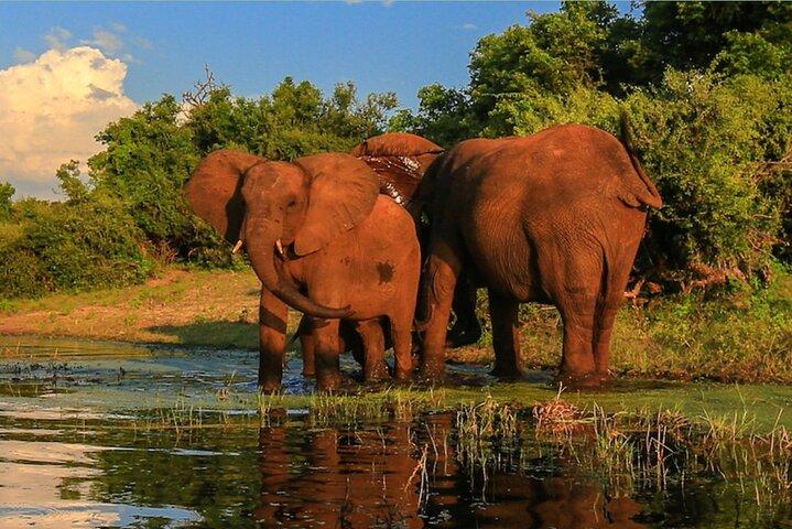 2 Day Kruger National Park Safari from Johannesburg
