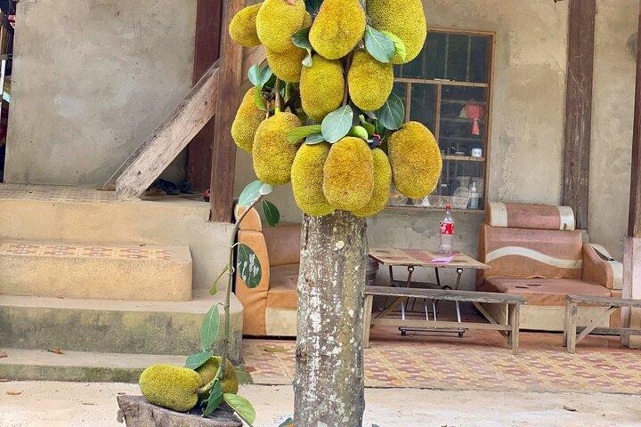 Mai Chau Day Trip: Biking, Local Culture & Countryside Views