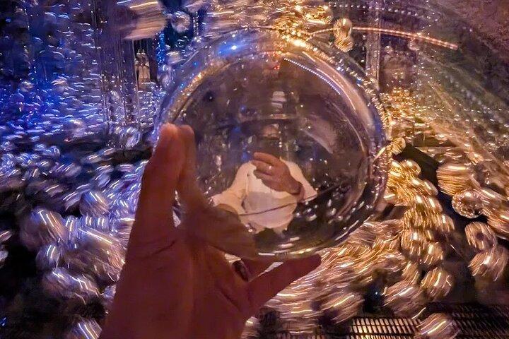 Private Abu Dhabi City Tour with TeamLab Phenomena Abu Dhabi