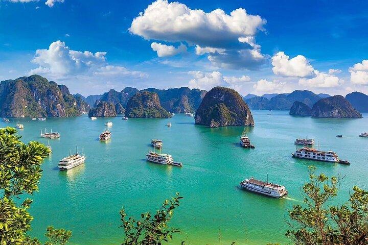 5-Day Northern Vietnam Discovery Ninh Binh & Halong Bay Wonders