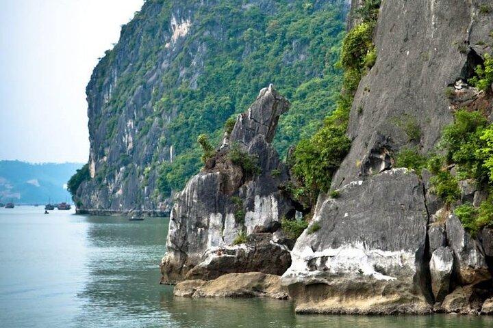 Dragonfly Cruise Visit Thien Cung Cave from Hanoi Expressway