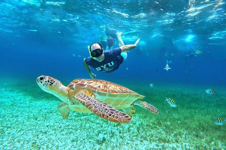 4 Hour Cozumel Turtle Sanctuary Experience on a Luxury Catamarán