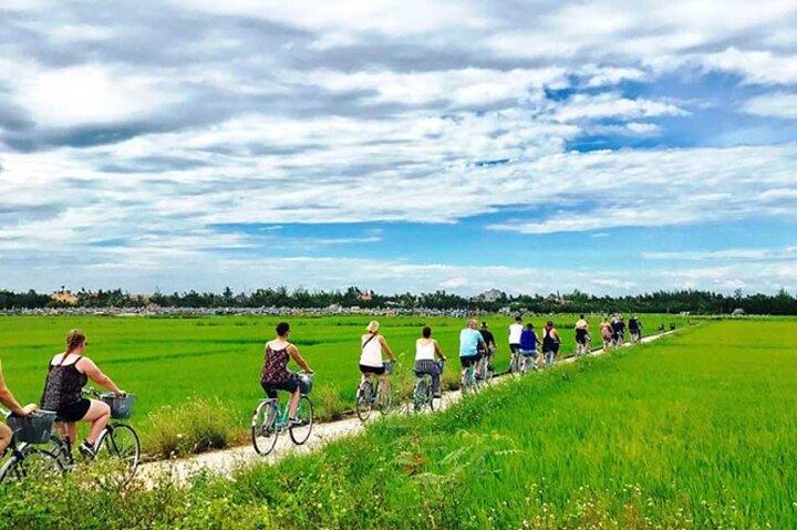 Ninh Binh in a Day Hoa Lu, Trang An and Mua Cave Discovery
