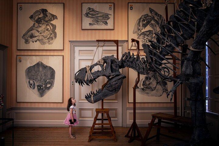 Art Zoo Museum Amsterdam Tickets