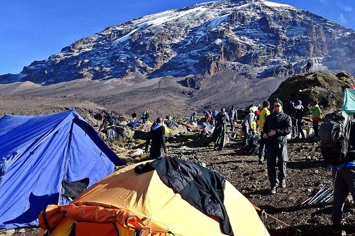 9-Day Northern Circuit Kilimanjaro Climb with Expert Guides