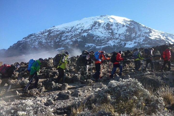 9-Day Northern Circuit Kilimanjaro Climb with Expert Guides