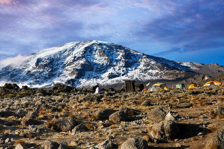 9-Day Northern Circuit Kilimanjaro Climb with Expert Guides