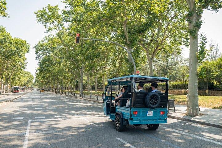 Barcelona Essentials Private Tuk-Tuk Tour.