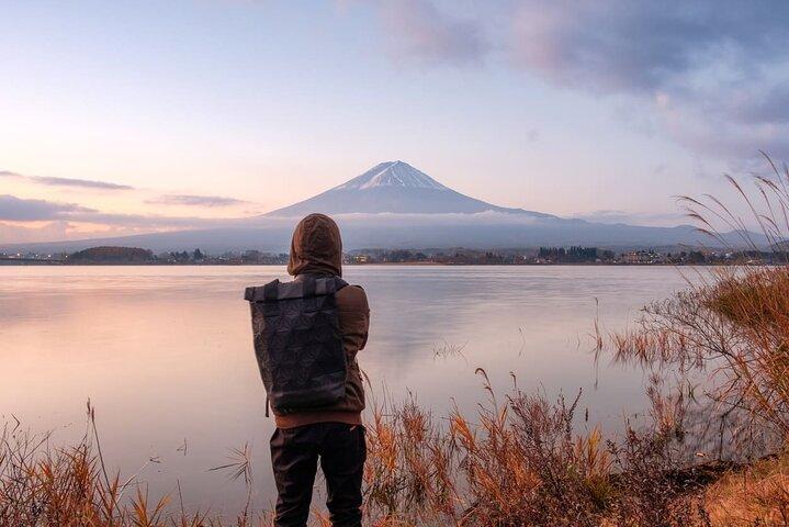 Mt Fuji and Izu Deep View 2 Day Tour from Tokyo