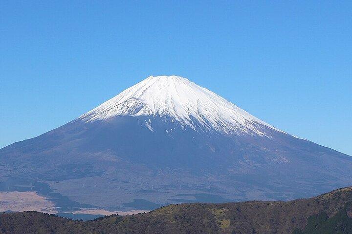Mt Fuji and Izu Deep View 2 Day Tour from Tokyo