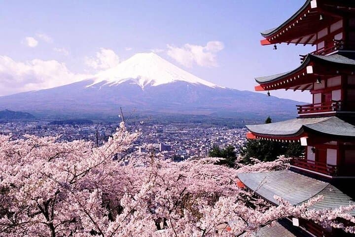 Mt Fuji and Izu Deep View 2 Day Tour from Tokyo