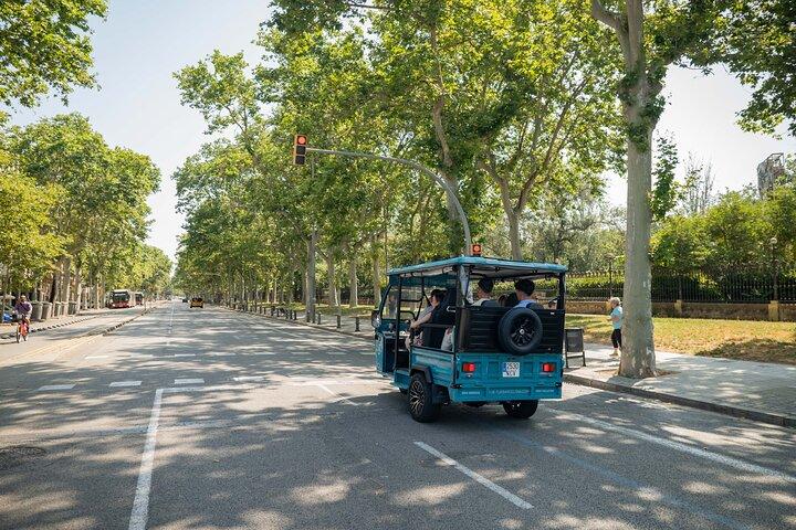 Barcelona Panoramic Private Tuk Tuk Tour