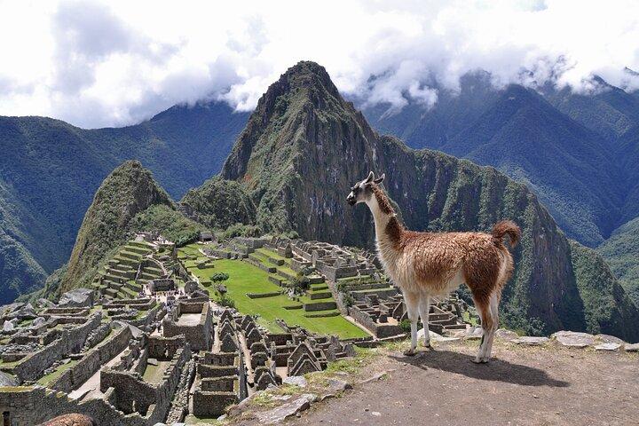 Full Day Machu Picchu Tour from Cusco