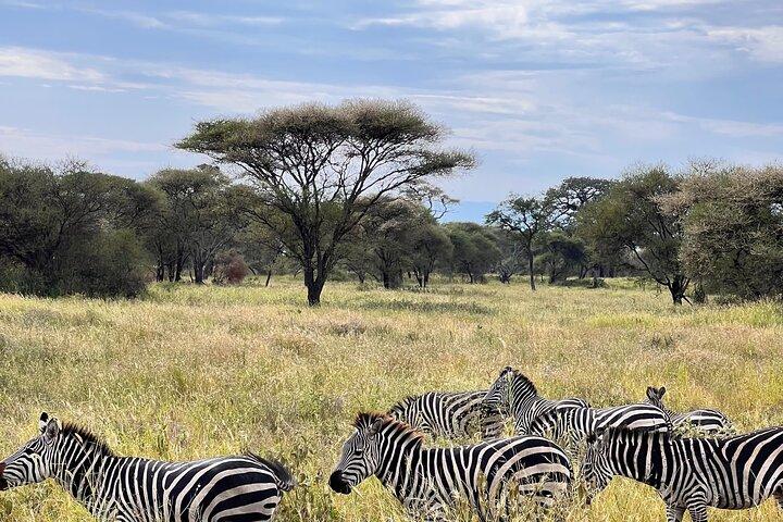 Arusha: 4 Day in Tarangire and Serengeti and Ngorongoro Crater