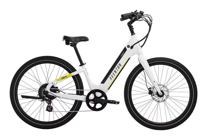 Ridden-Premiere E-Bike Rentals Breckenridge To Frisco
