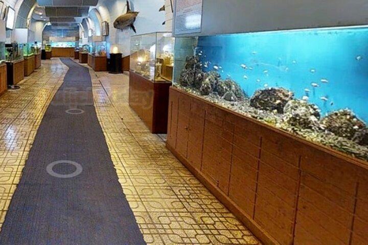 Nha Trang Half Day Tour: Best Highlights & Secret Spots