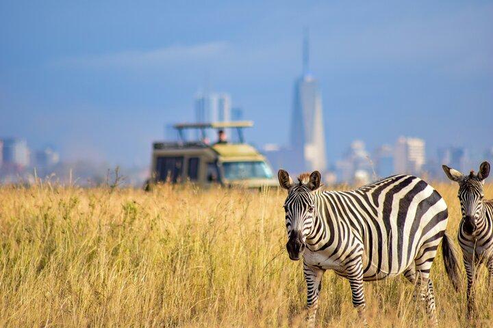 4WD Nairobi Sightseeing Shared