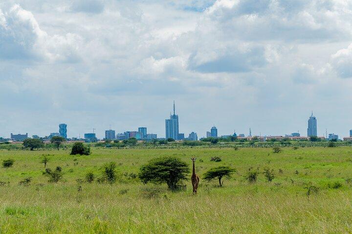 4WD Nairobi Sightseeing Shared