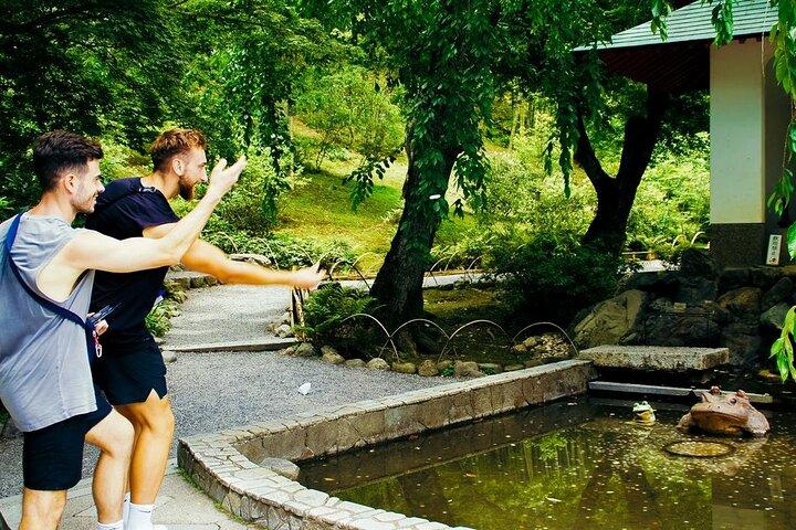 Kyoto: Arashiyama Bamboo Forest, Monkeys, Matcha & Temple Tour