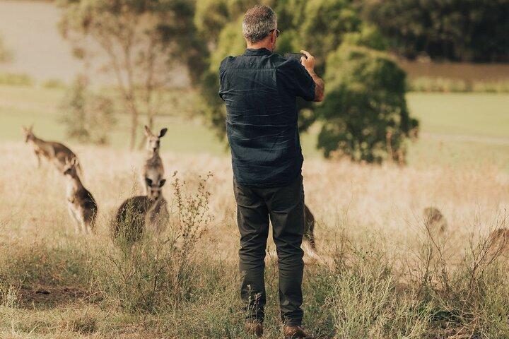 Yarra Valley Foodies Tour with Chandon & Kangaroo Safari!
