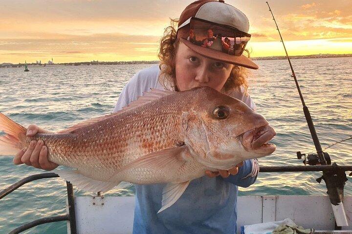 Full Day Fishing Trip on Auckland Waitemata Harbour