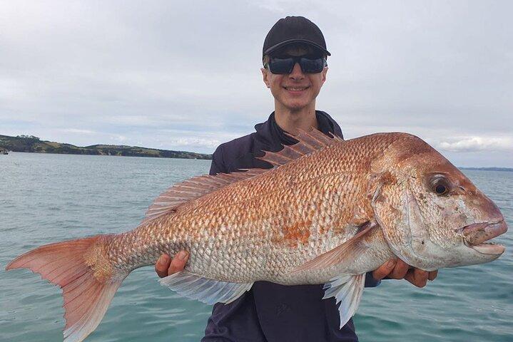 Full Day Fishing Trip on Auckland Waitemata Harbour
