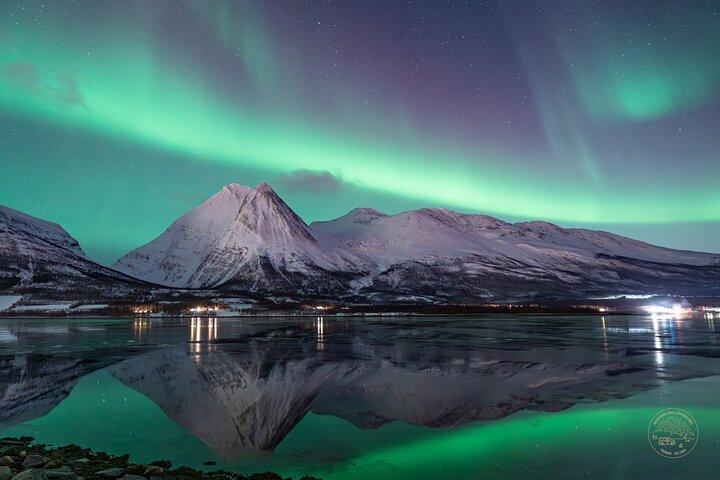 Minibus Northern Lights Chase with Photography from Tromsø