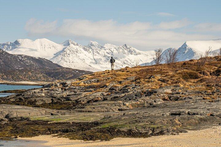 Arctic Fjord Roadtrip with Scenic Picnic from Tromso