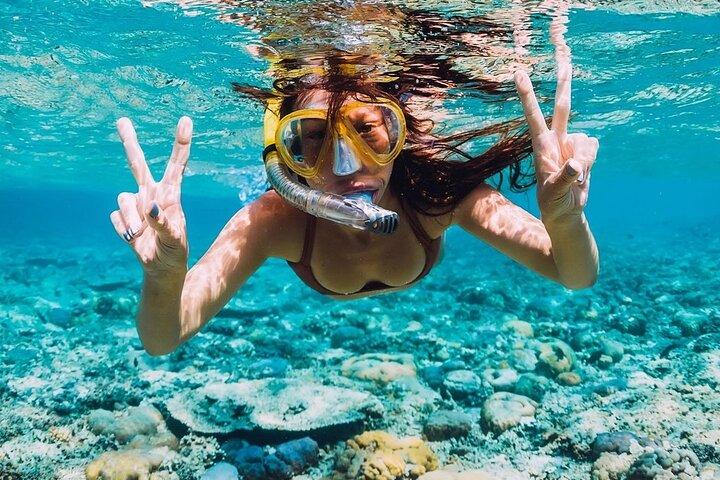 Roatan adventure: Snorkeling, Monkeys, Sloths, and Island Tour