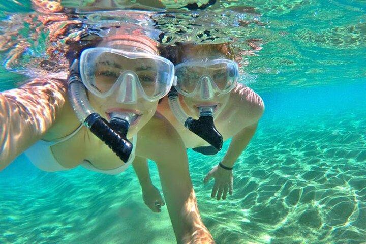 Roatan adventure: Snorkeling, Monkeys, Sloths, and Island Tour