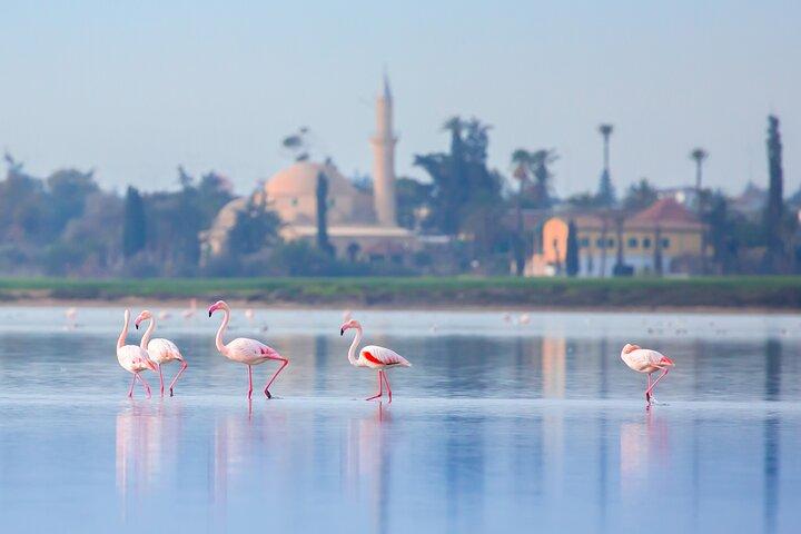 Larnaca Airport Pickup with 1-Hour Coastal Sightseeing Ride