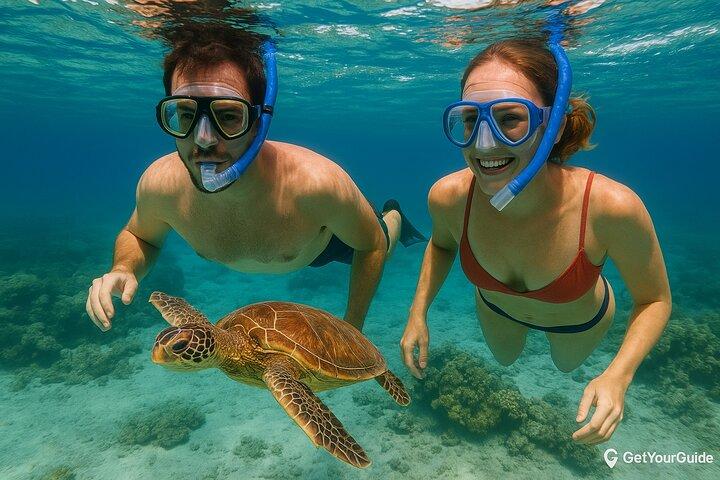 Full - Day Private Zanzibar Tour with dolphins & Sunset Beach