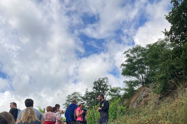 Hiking and Wine between Côte-Rôtie and Condrieu