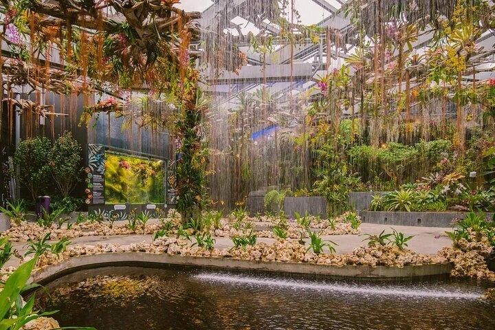 Gardens by the Bay Admission Ticket in Singapore