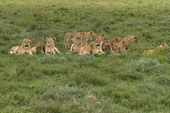 4 Days Tarangire, Serengeti and Ngorongoro Mid-Range Group Safari