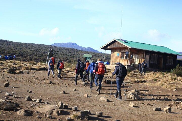 Kilimanjaro 7 Day Private Tour with Meals