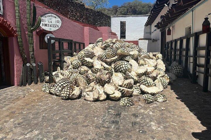 Full-Day Tour to La Fortaleza Distillery and Cantaritos