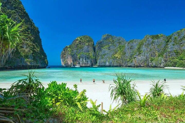 Phuket: Phi Phi Islands, Maya Bay and Khai or Bamboo by Speedboat
