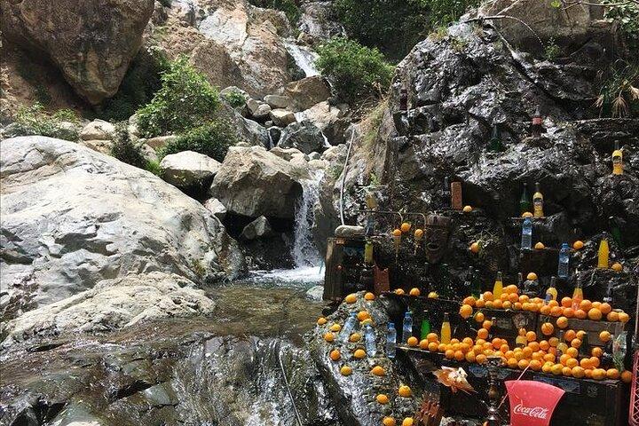 Atlas Mountains Day Trip Berber Villages and Scenic Views