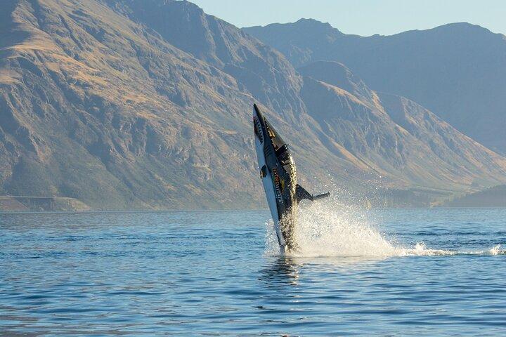 Queenstown Hydro Attack Shark Ride Adventure