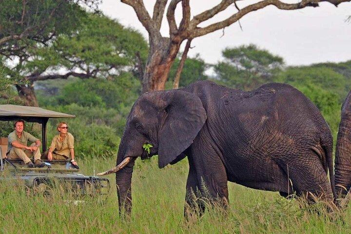 3 Days Safari to Tarangire Ngorongoro and Lake Manyara